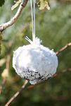 Thumbnail View 1: Bird’s Nest Building Cotton