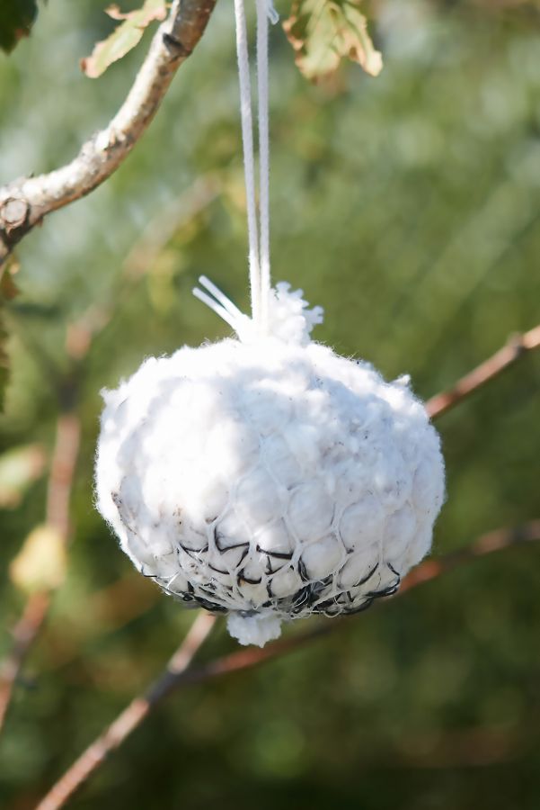 Slide View: 1: Bird’s Nest Building Cotton