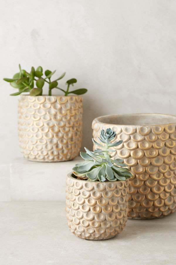 Gilded Scalloped Pot Anthropologie