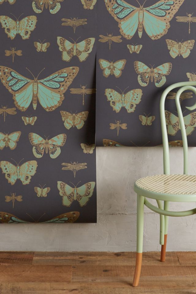 Lepidoptera Wallpaper Anthropologie