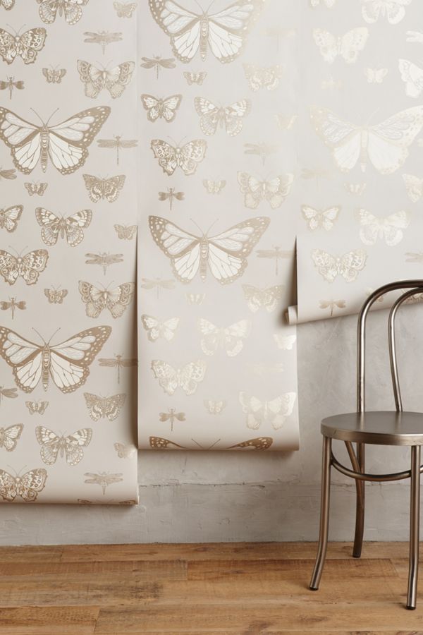 Silvery blue grey butterfly Lepidoptera Wallpaper from Anthropologie.