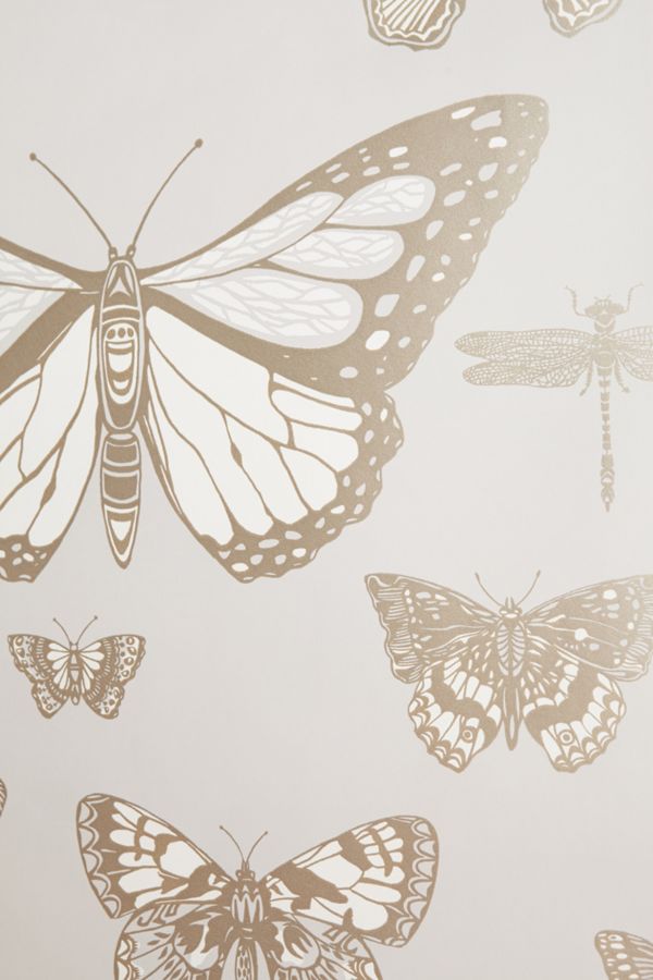 Silvery blue grey butterfly Lepidoptera Wallpaper at Anthropologie.