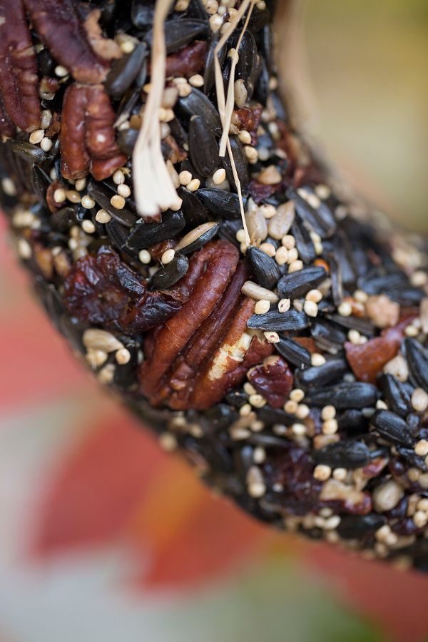 Slide View: 2: Edible Seed & Pecan Wreath