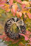 Thumbnail View 1: Edible Seed & Pecan Wreath