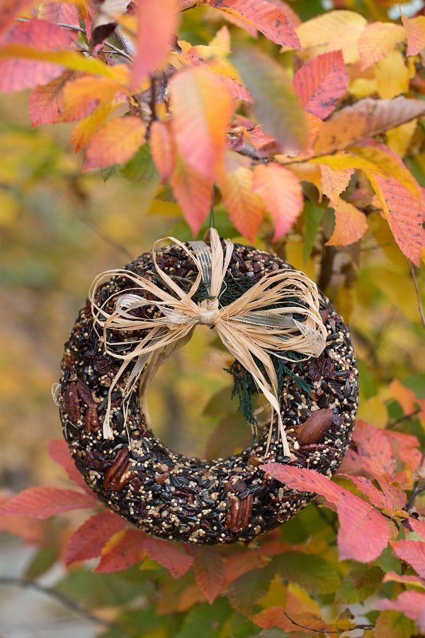 Slide View: 1: Edible Seed & Pecan Wreath