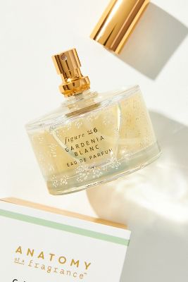 fragrance perfume