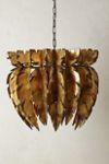 Feathered Chandelier