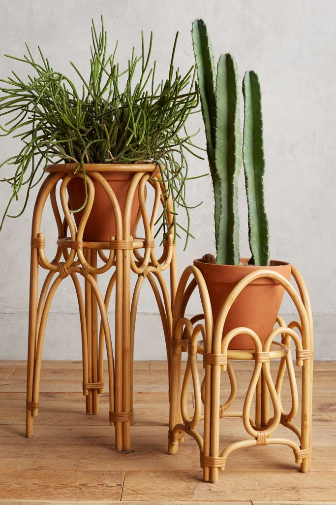 Rattan Plant Stand Anthropologie