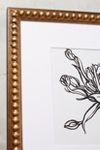 Thumbnail View 2: Tulips in Lesterware Wall Art