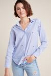 Rails Taylor Embroidered Citrus Pin Stripe Shirt  - Blue & White