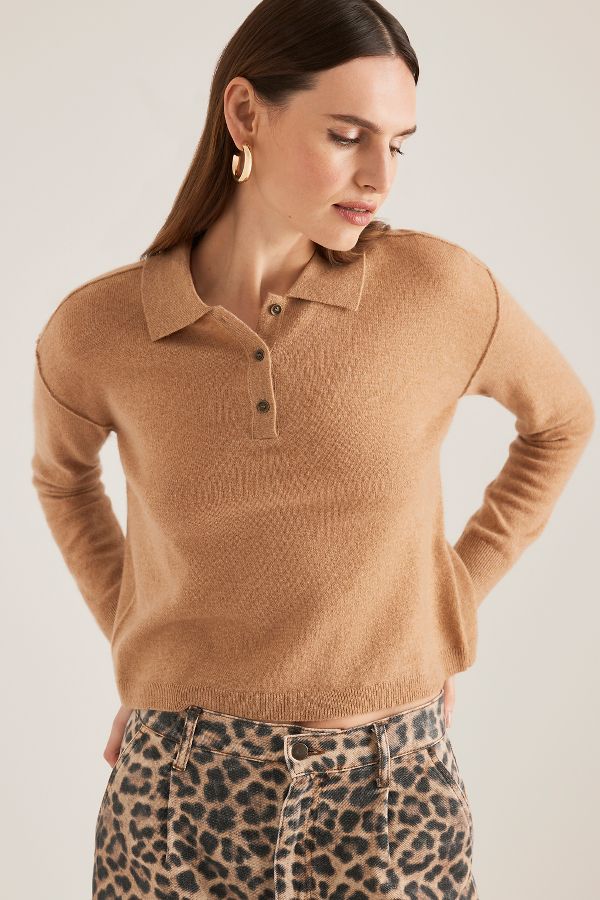 Slide View: 1: The Jensen Cashmere Cropped Polo Jumper by Pilcro