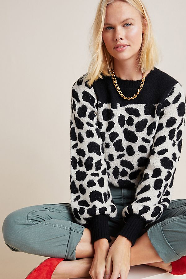Slide View: 1: Cole Animal-Printed Sweater