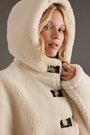 Thumbnail View 5: Veste à capuche en sherpa par Anthropologie