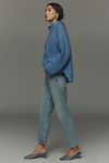 Thumbnail View 4: AGOLDE 90s Pinch Crop High-Rise Straight-Leg Jeans