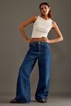 Thumbnail View 1: AGOLDE Dame High-Rise Wide-Leg Jeans