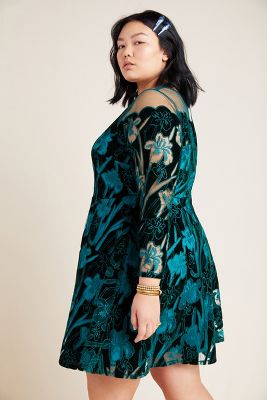 foxiedox velvet embroidered mini dress