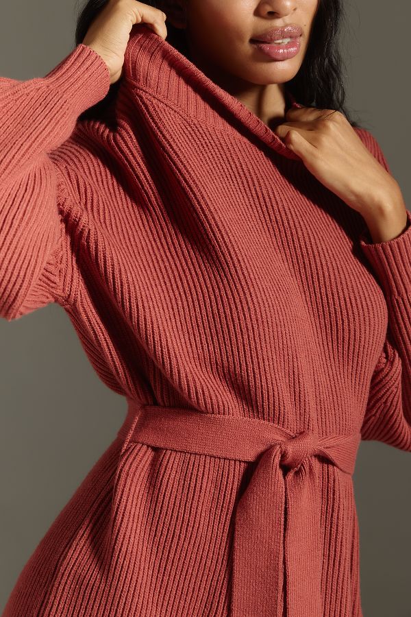 Slide View: 4: Maeve Long-Sleeve Mock-Neck Tie-Waist Mini Dress