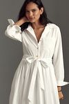 Thumbnail View 3: English Factory Long-Sleeve Pleated A-Line Midi Shirt Dress