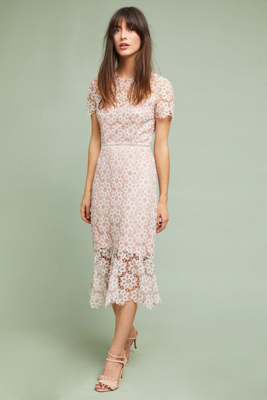 Ambrosina Lace Dress | Anthropologie