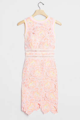 coast gina embroidered dress