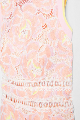 coast gina embroidered dress