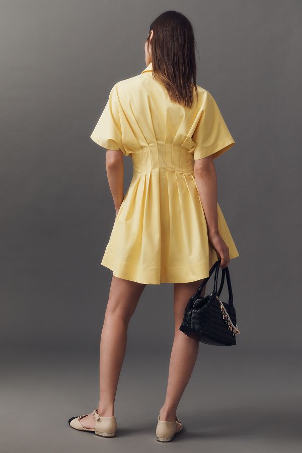 Slide View: 3: The Tobie Button-Front Pleated Shirt Dress by Exquise: Mini Edition