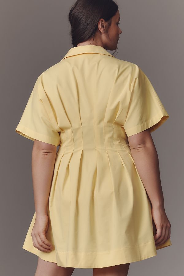 Slide View: 7: The Tobie Button-Front Pleated Shirt Dress by Exquise: Mini Edition