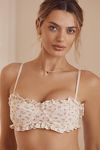 Thumbnail View 2: Wild Lovers Renee Underwire Bra