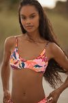 Thumbnail View 1: Maaji Coral Leafy Liberties Classic Bralette Bikini Top