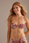 Thumbnail View 1: Charlie Holiday Ruby Balconette Bikini Top