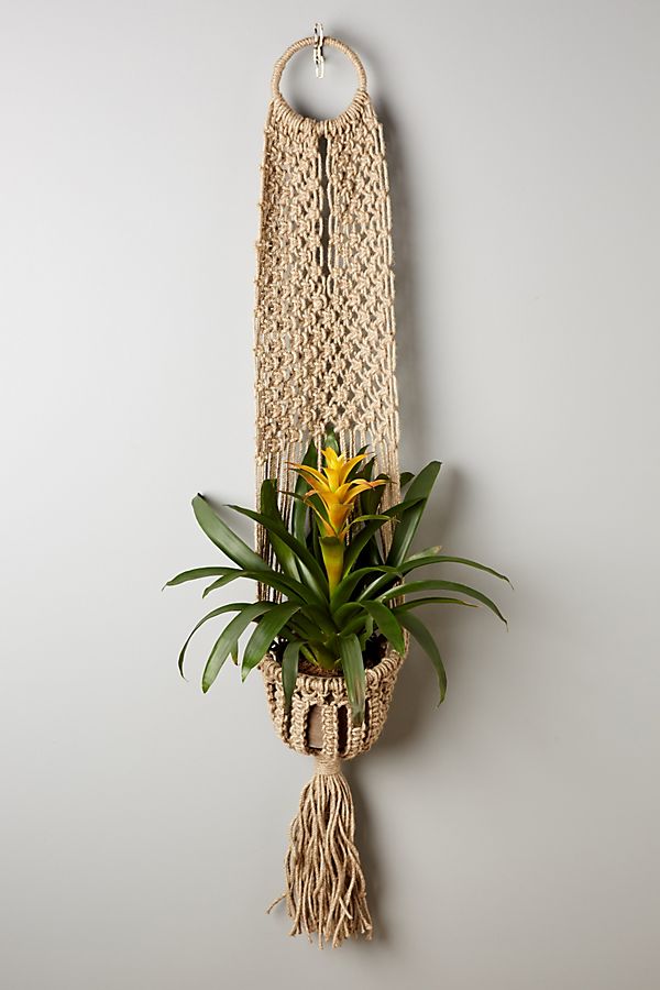 Slide View: 1: Macrame Plant Hanger