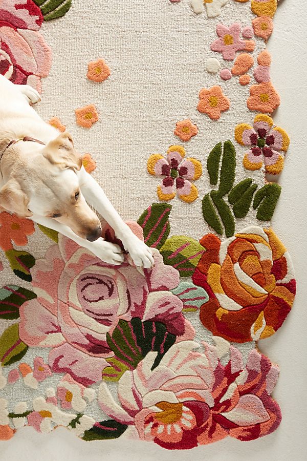 Slide View: 2: Aracelli Rug