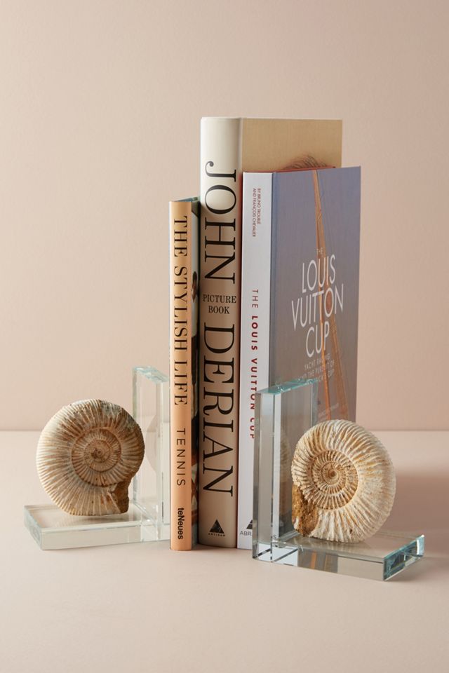 Fossil Form Bookends Anthropologie