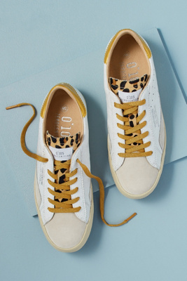 office leopard trainers