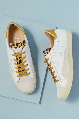 office leopard trainers