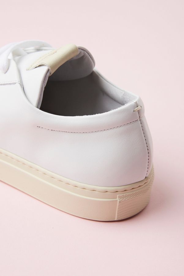 plimsoll trainers
