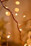 Thumbnail View 3: Stargazer Twinkling Copper Curtain