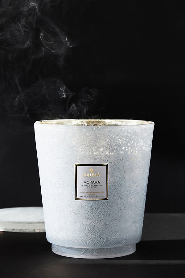 Slide View: 1: Voluspa Giant Japonica Jar Candle