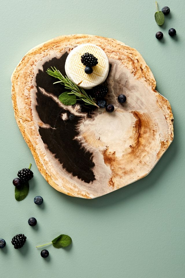 Petrified Wood Cheese Board Anthropologie