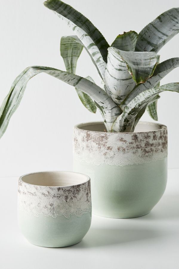 Sea Foam Pot | Anthropologie UK