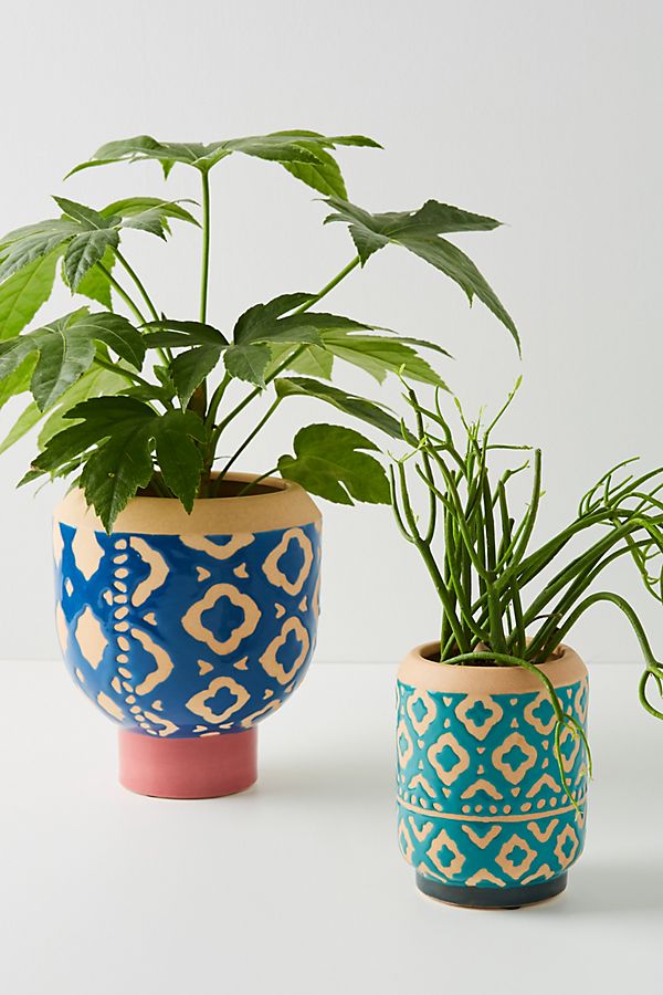 Slide View: 2: Ena Pot