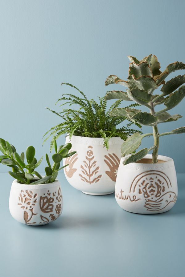 Petit Pot De Fleur Goddess Anthropologie Fr