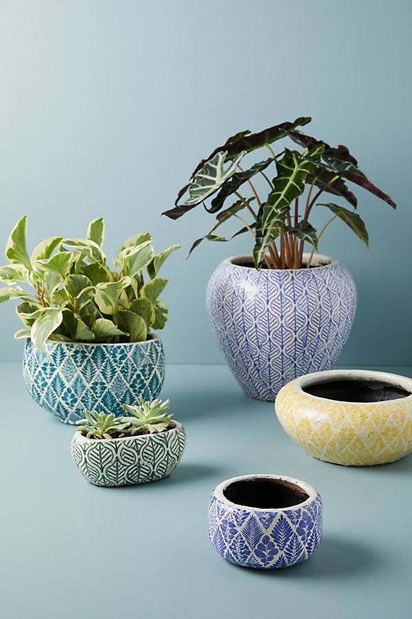 Slide View: 1: Finley Pot