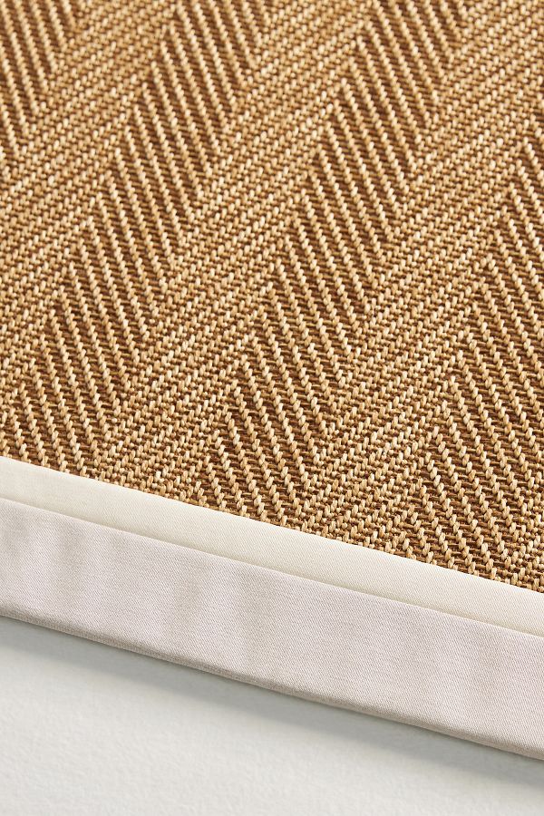 Slide View: 3: Flatwoven Double Border Performance Rug