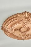 Thumbnail View 2: Acanthus Leaf Ceiling Medallion