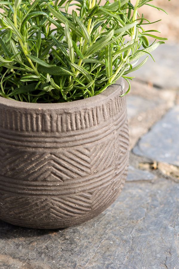 Slide View: 2: nkuku Zadie Etched Ceramic Planter