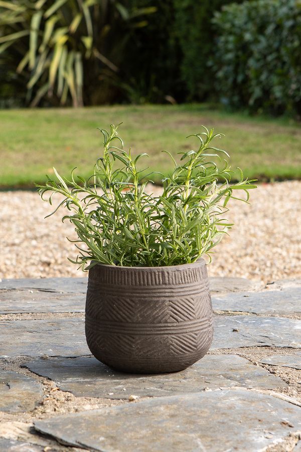 Slide View: 3: nkuku Zadie Etched Ceramic Planter