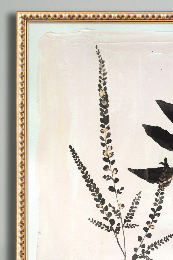 Upright Fern Wall Art Anthropologie Uk