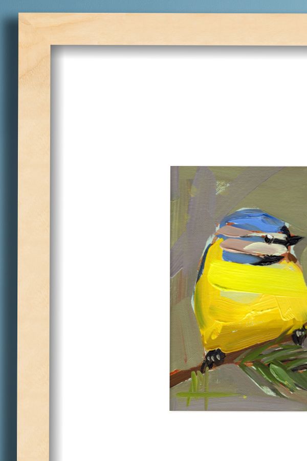 Slide View: 2: Blue Tit Bird No.34 Wall Art