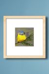 Thumbnail View 1: Blue Tit Bird No.34 Wall Art